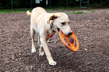 Charger l'image dans la galerie, Hartz Tuff Stuff Toss Around Plush Frisbee Flyer Dog Toy - Medium/Large