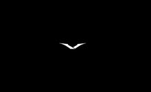 Charger l'image dans la galerie, iVertu Black VERTU Mobile Phone
