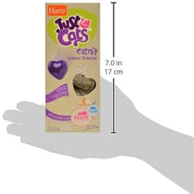 Load image into Gallery viewer, Hartz Catnip Leaves &#39;n Herbs with Heart Ball Cat Toy (2 Pack)
